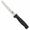Round Tip Plastic Handle Steak Knife