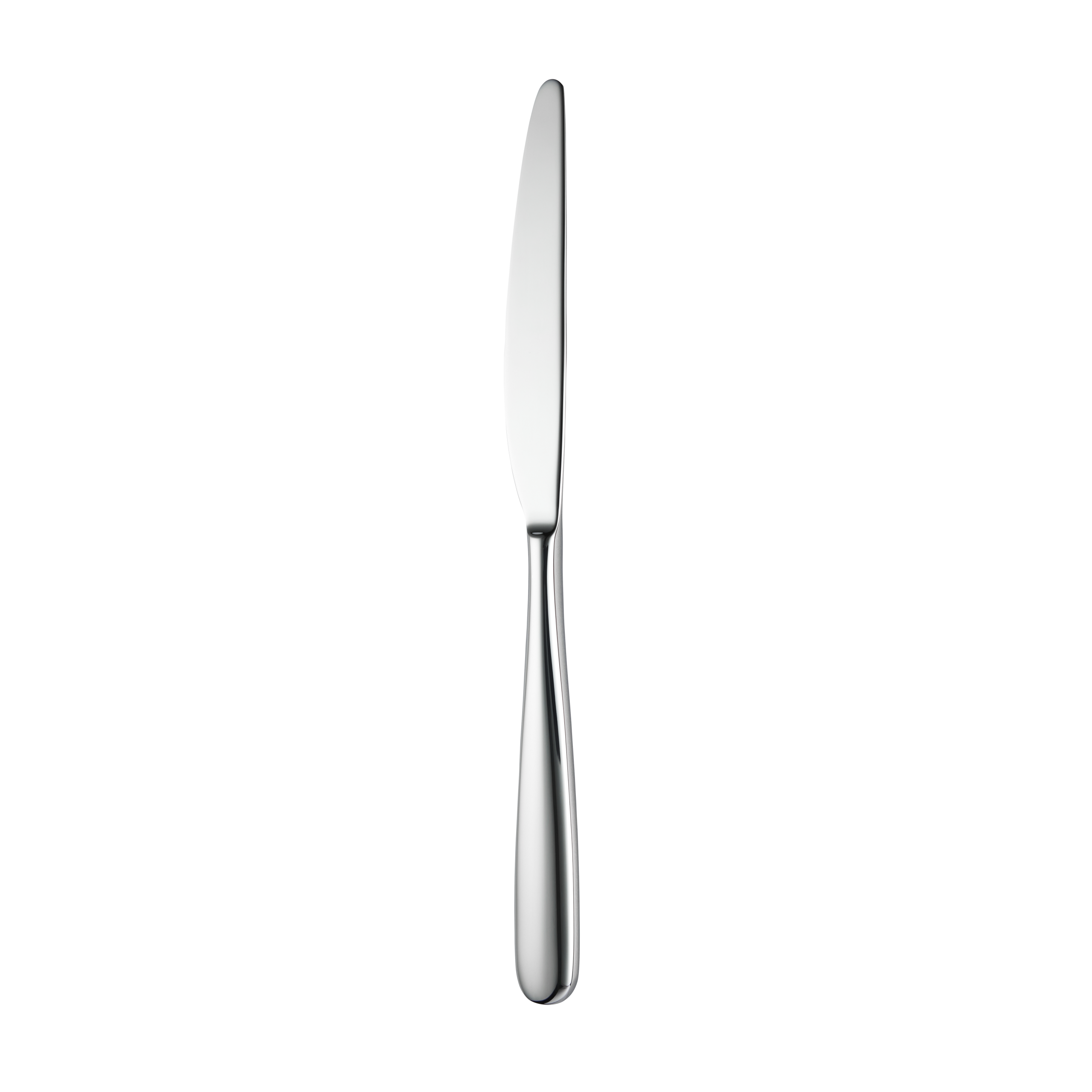 Trenton St Moritz Table Knife - Silver (Dozen)