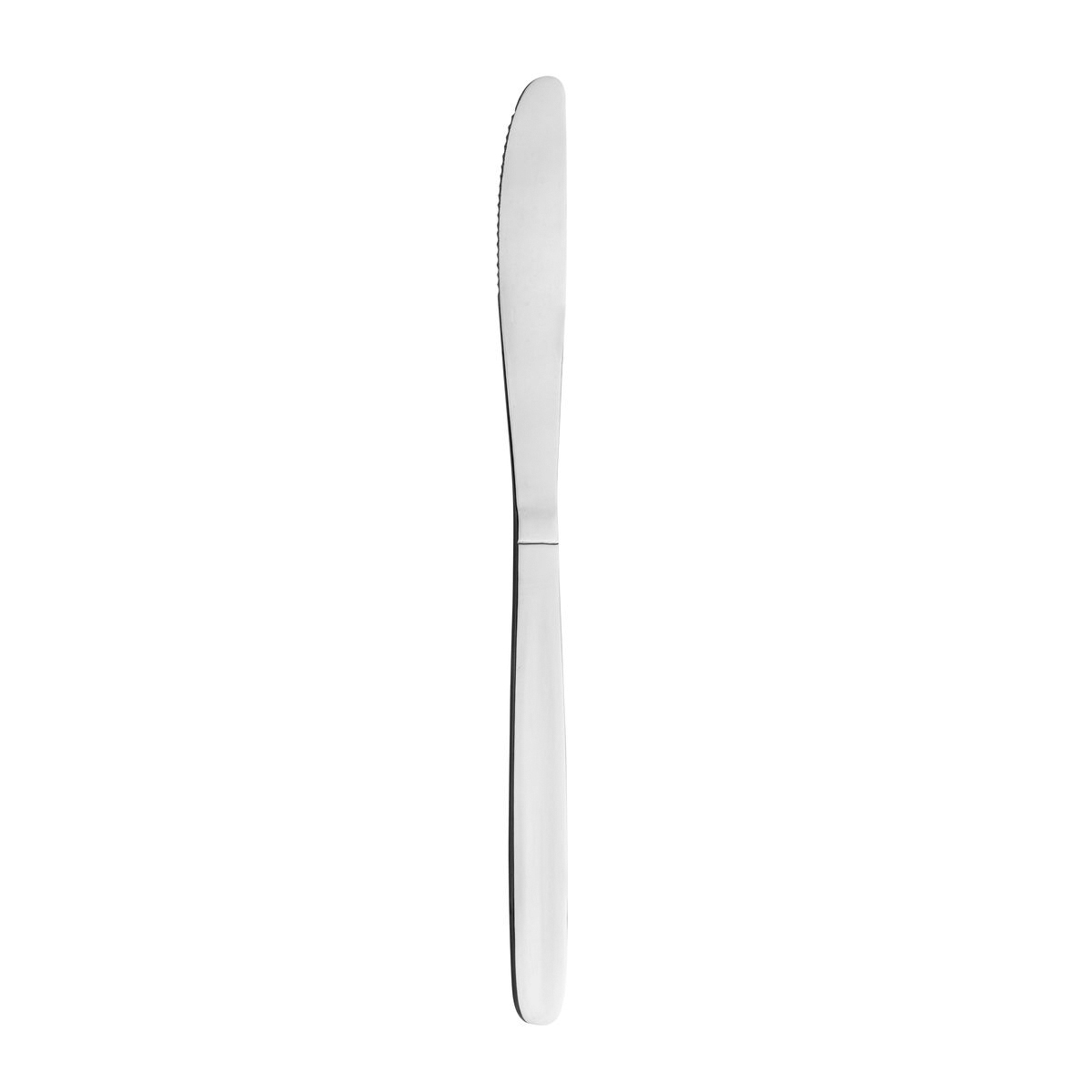 Trenton Oslo Table Knife - Silver (Dozen)
